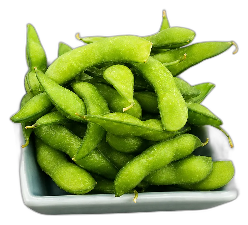 Đậu Nhật hấp
